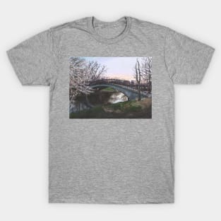 Charles River Esplanade 4 T-Shirt